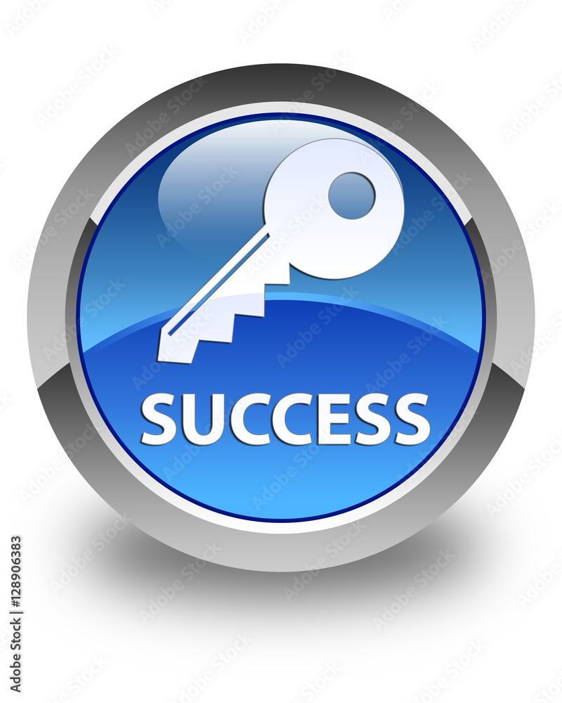 Success (key icon) glossy blue round button Success (key icon) glossy blue round button