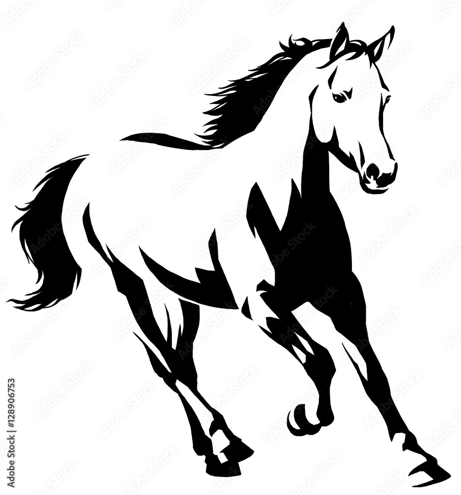black and white linear paint draw horse illustration black and white linear paint draw horse illustration