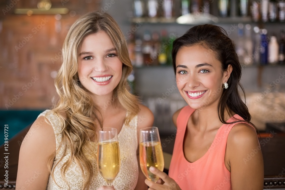 Portrait of two women holding a glass of champagne Portrait of two women holding a glass of champagne