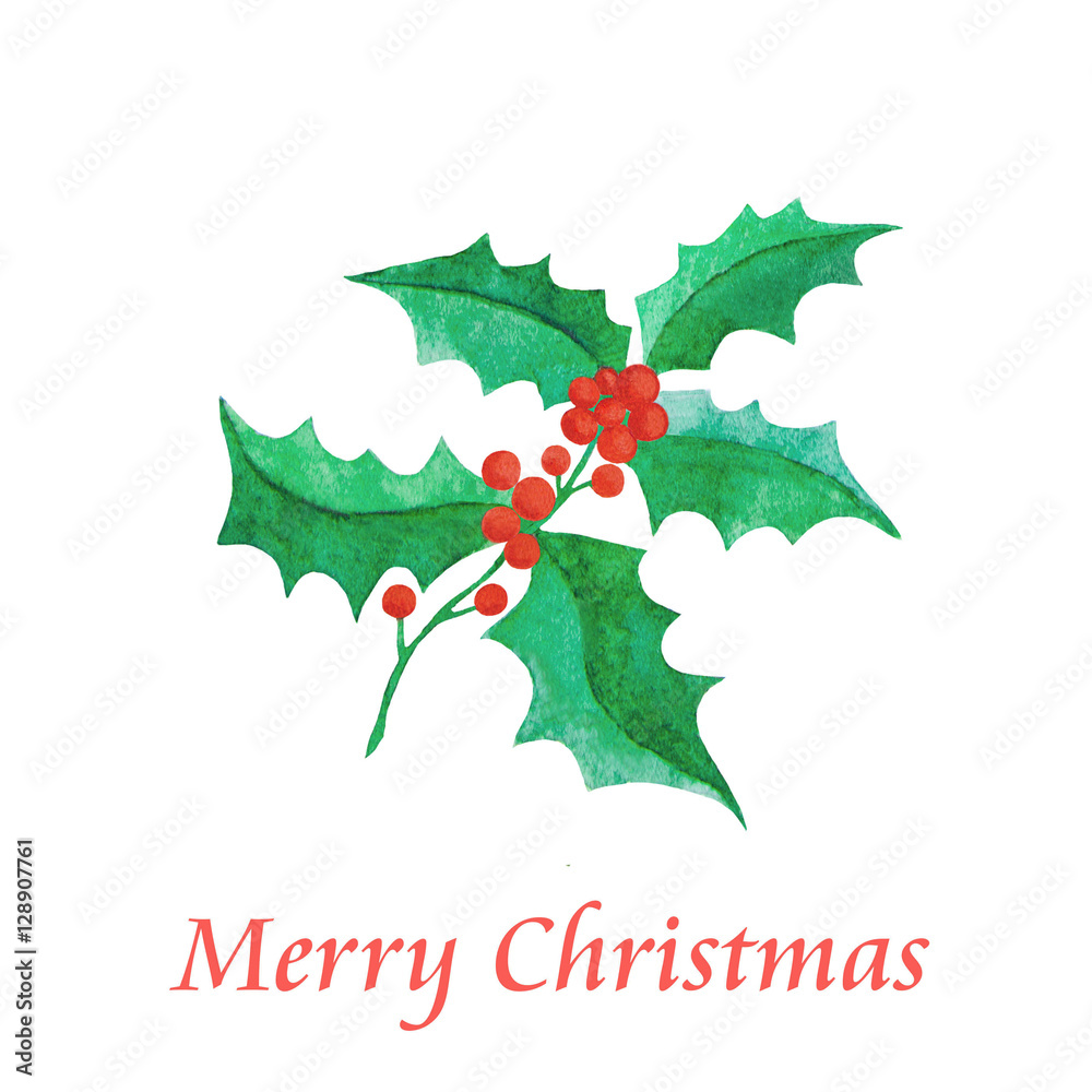 Fototapeta premium Watercolor holly with berries on a white background