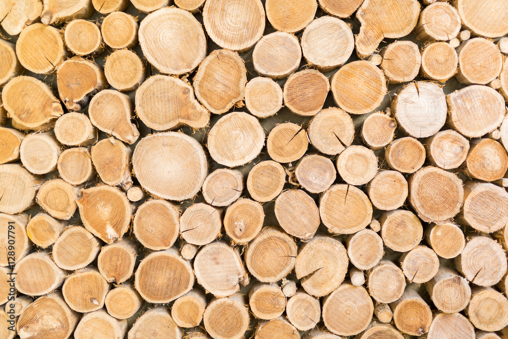 Wooden log texture Wooden log texture