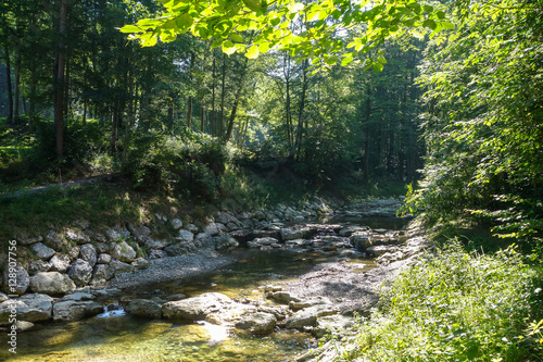 Mühlbach bei Nußdorf am Inn