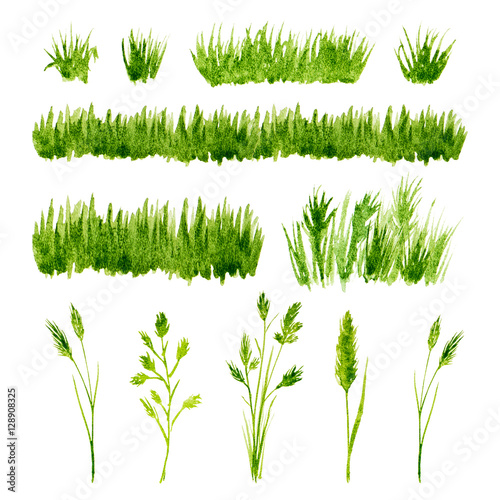 Watercolor green grass set on white background