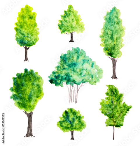 Watercolor trees on white background