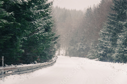 forest and road in winter time © katarinagondova