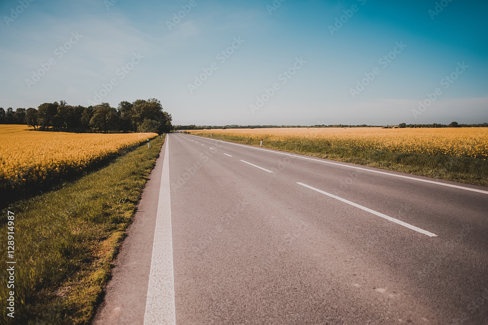 Fototapeta premium empty asfalt road and fields of flowers. natural background. vintage picture