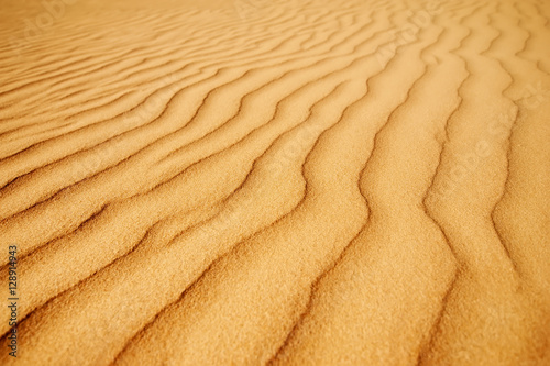 closeup golden sand texture. picture with soft focus