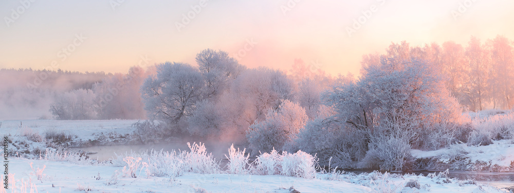 Plakat Bright winter sunrise. White frosty trees in Christmas morning.