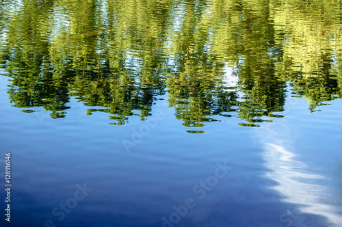 Forest trees reflected in water of pond in summer time, a lot of space for text, copyspace