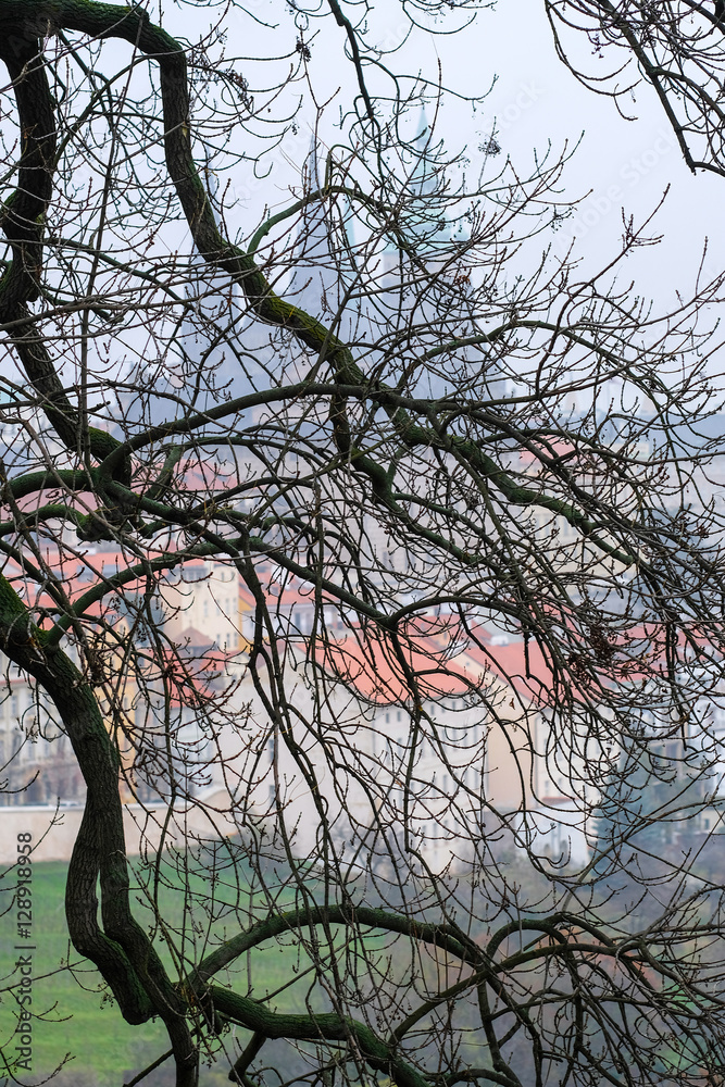 Prague, Czechia - November, 24, 2016: panorama of an old Prague with St. Vitus Cathedral and Prague Castle from branches on a frontground Prague, Czechia - November, 24, 2016: panorama of an old Prague with St. Vitus Cathedral and Prague Castle from branches on a frontground
