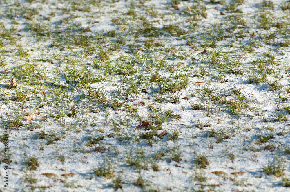 snow on the grass background snow on the grass background