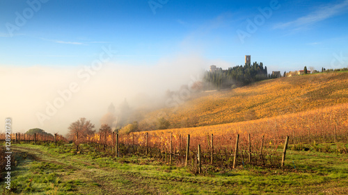 Chianti vineyard landscape in autumn with fog , Abbey of Passign