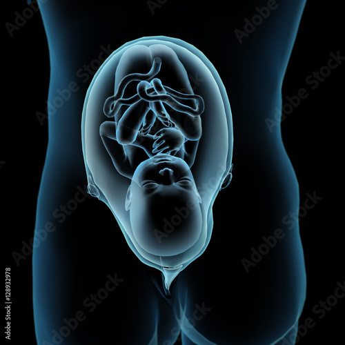 Blue X-ray View of Pregnant Female and Infant