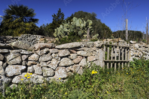 verwilderter Garten auf Sardinien mit Legesteinmauer photo