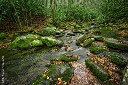Middle Prong of the Little River, near Tremont, Great Smoky Mountains National Park, Tennessee, USA photo
