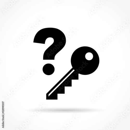 key icon on white background