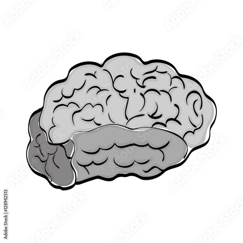 Human brain mind icon vector illustration graphic design