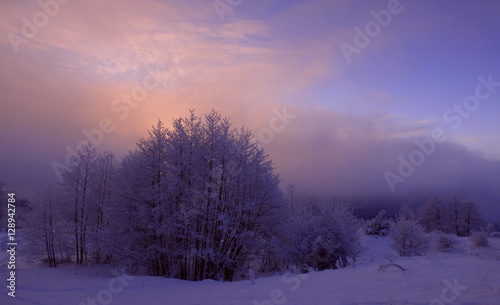 Purple winter morning