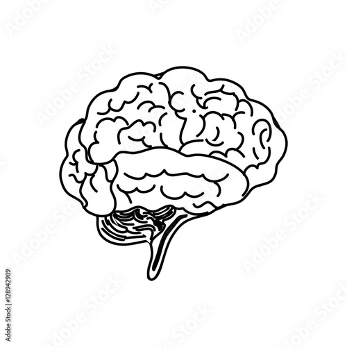 Human brain mind icon vector illustration graphic design