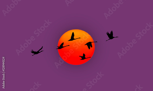 Sunset or sunrise with flying birds natural background