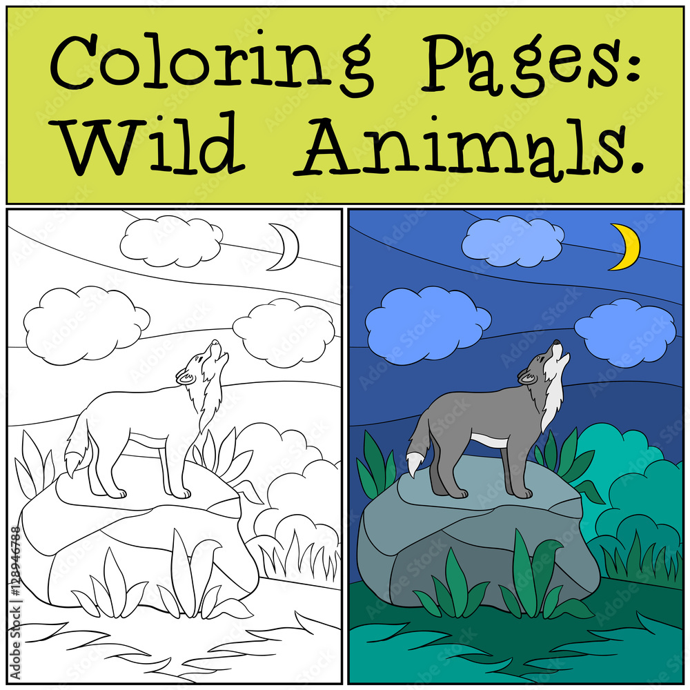 Naklejka premium Coloring Pages: Wild Animals. Beautiful wolf howling at the moon