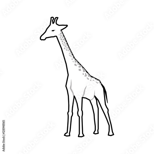 giraffe african animal icon vector illustration graphic design