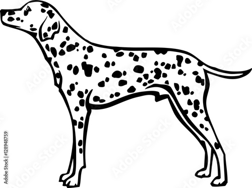 Dalmatian Vinyl Ready Vector Illustration