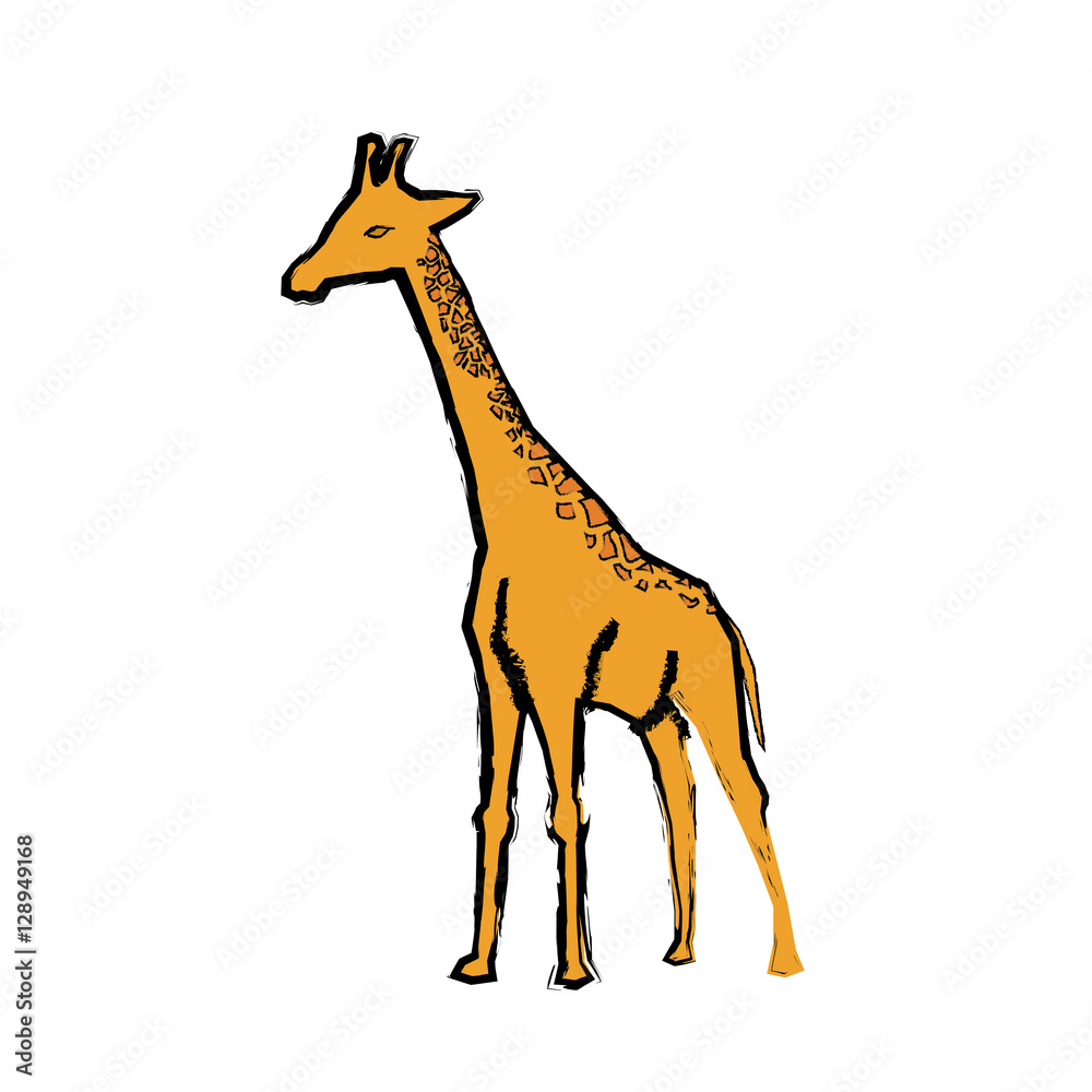 giraffe african animal icon vector illustration graphic design giraffe african animal icon vector illustration graphic design