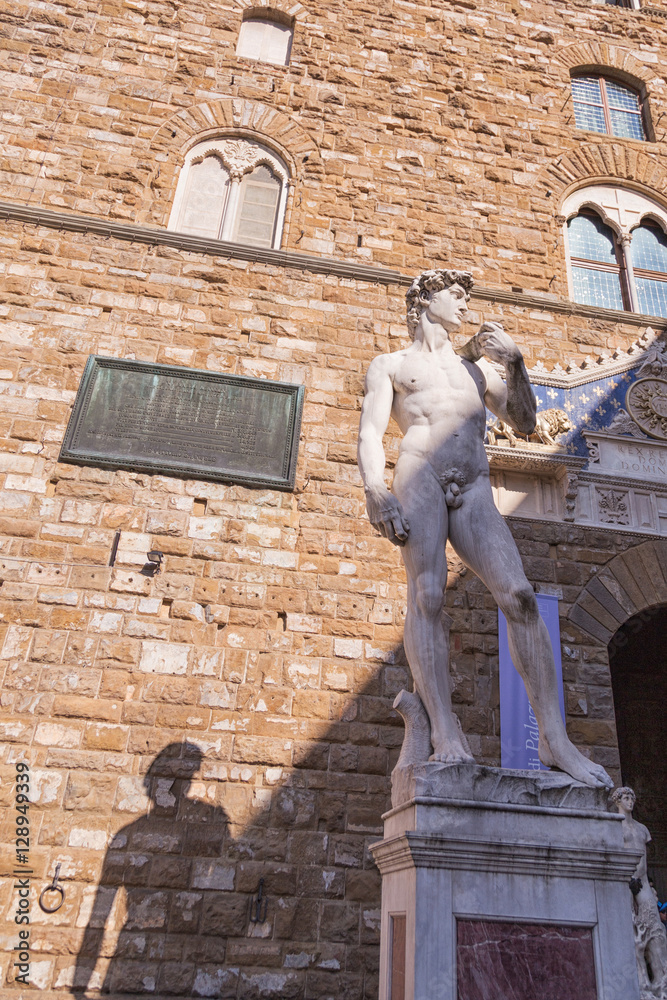 Naklejka premium Michelangelo's David