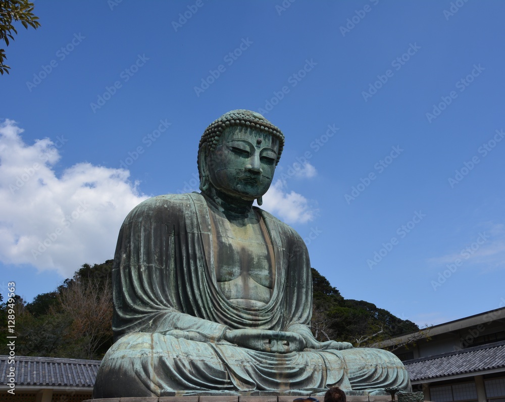 mountain,skyscraper,tree,views,garden,flowers,buddha. mountain,skyscraper,tree,views,garden,flowers,buddha.