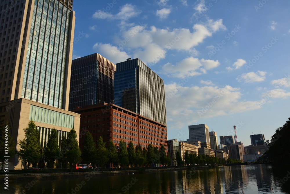 mountain,skyscraper,tree,views,garden,flowers,buddha.