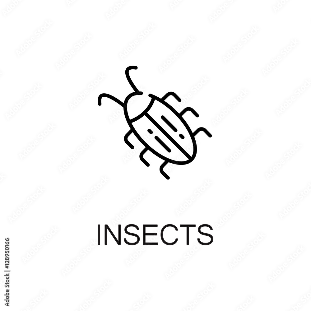 Insect flat icon or logo for web design.
