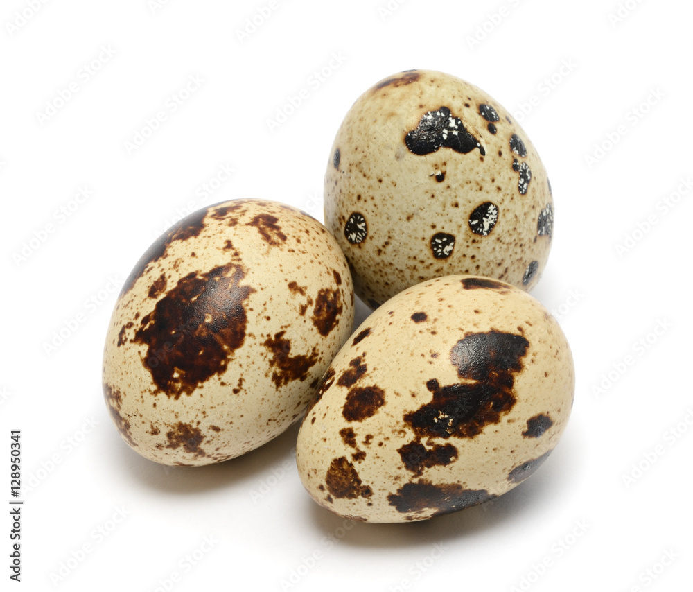 Quail egg isolated on white background Quail egg isolated on white background