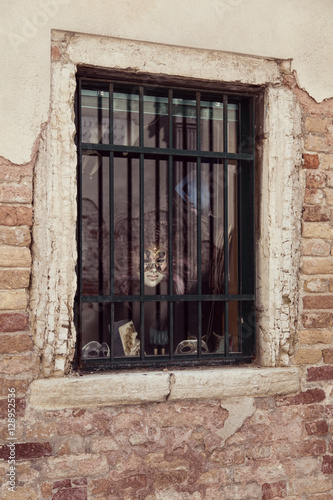 mask on display in Venice