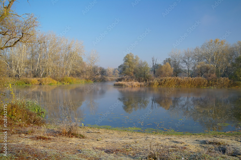 River landscape and autumn wood