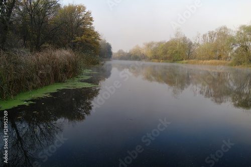 Fototapeta Naklejka Na Ścianę i Meble -  River landscape and autumn wood