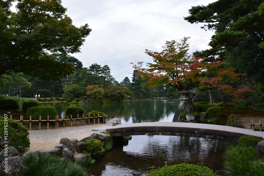 Fototapeta premium The garden in Japanese style, flowers,shirakawako.
