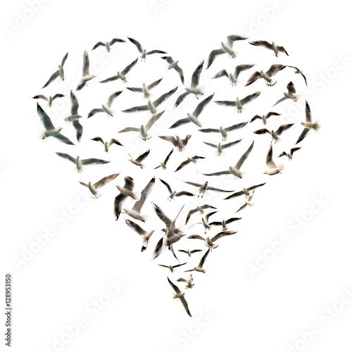 Canvas Print birds flying in heart shape