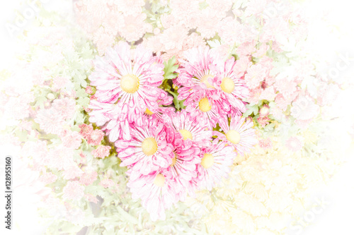 Flower on soft pastel color in blur style. White vignette on border.