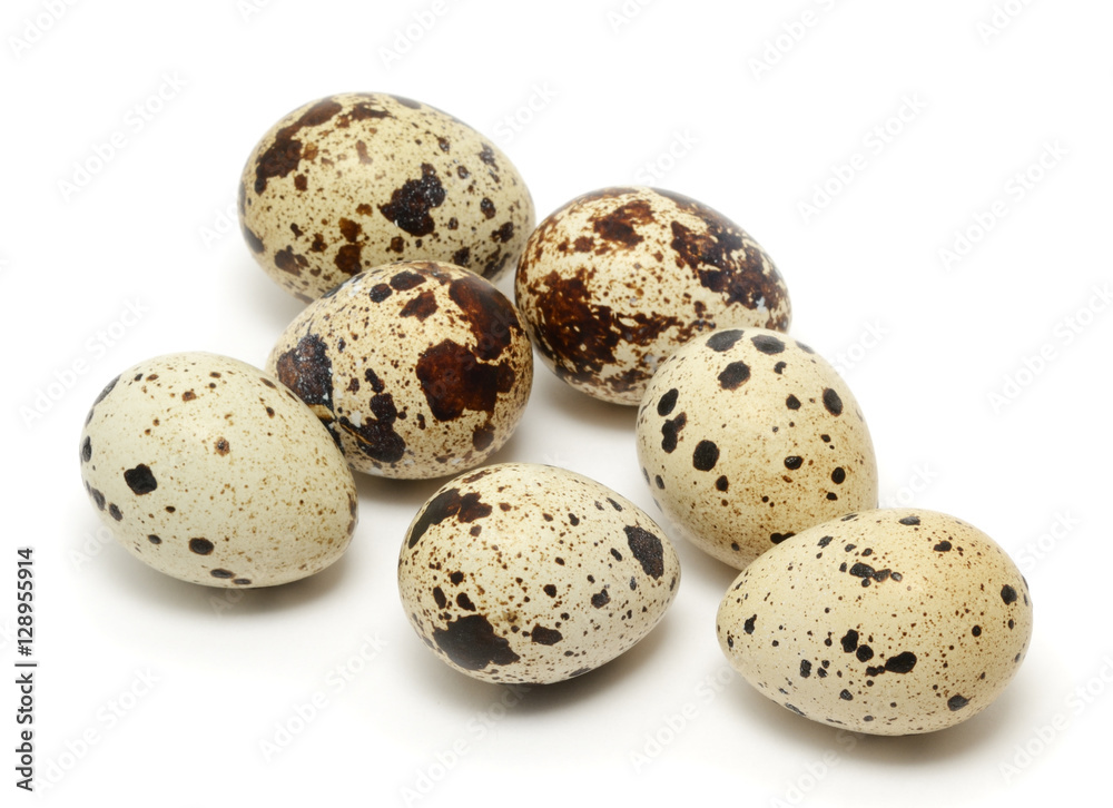 Quail egg isolated on white background Quail egg isolated on white background