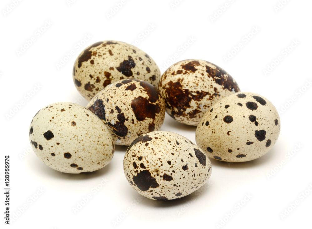 Quail egg isolated on white background Quail egg isolated on white background
