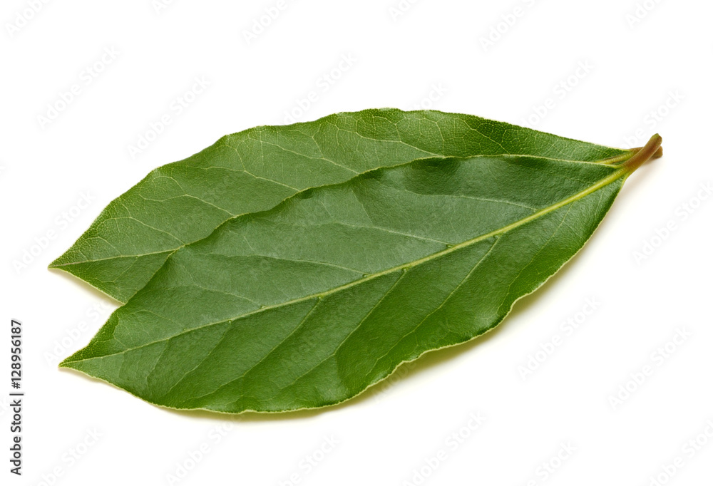 Obraz premium Fresh green bay leaf isolated on white background