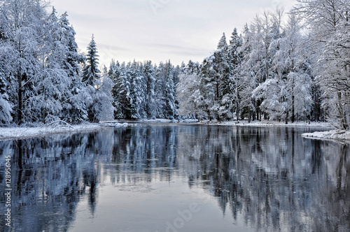 River landscape in winter