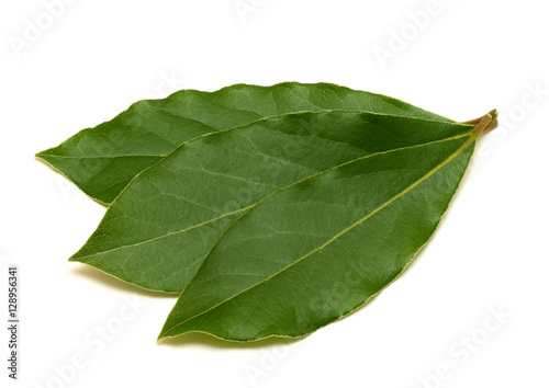Fresh green bay leafs isolated on white background