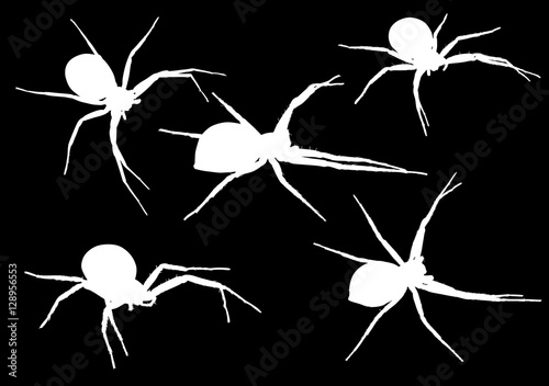five small white spiders illustration