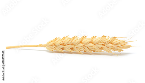 Wheat ear isolated on white background