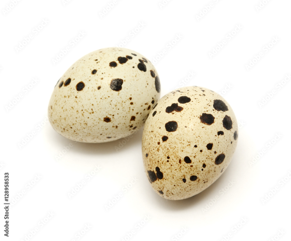 Obraz premium Quail eggs isolated on white background