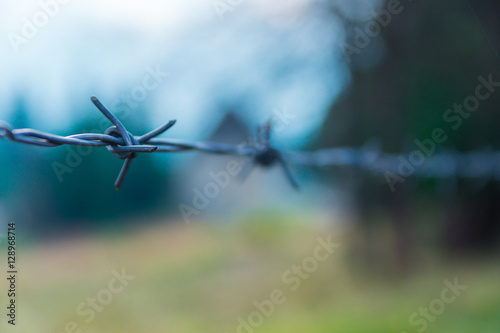 barbed wire