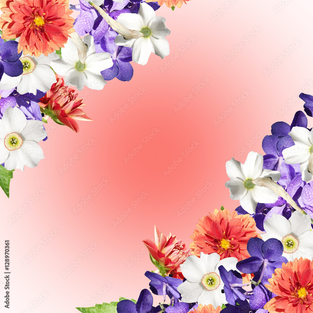 Beautiful floral background of daffodils, dahlias and orchids Vanda Beautiful floral background of daffodils, dahlias and orchids Vanda