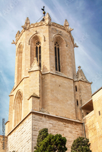 Cathédrale Sainte Thècle, Tarragone, Catalogne, Espagne